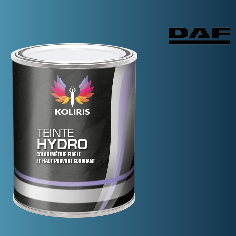 Peinture utilitaire - camion hydro Daf